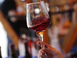 'Goed wijnjaar op komst', Haagse stadswijngaard enthousiast door mooie zomer
