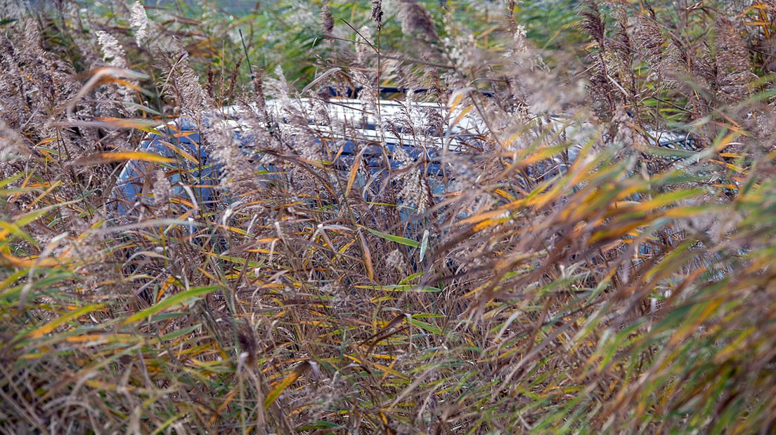 De auto stond langs de waterkant in het riet.