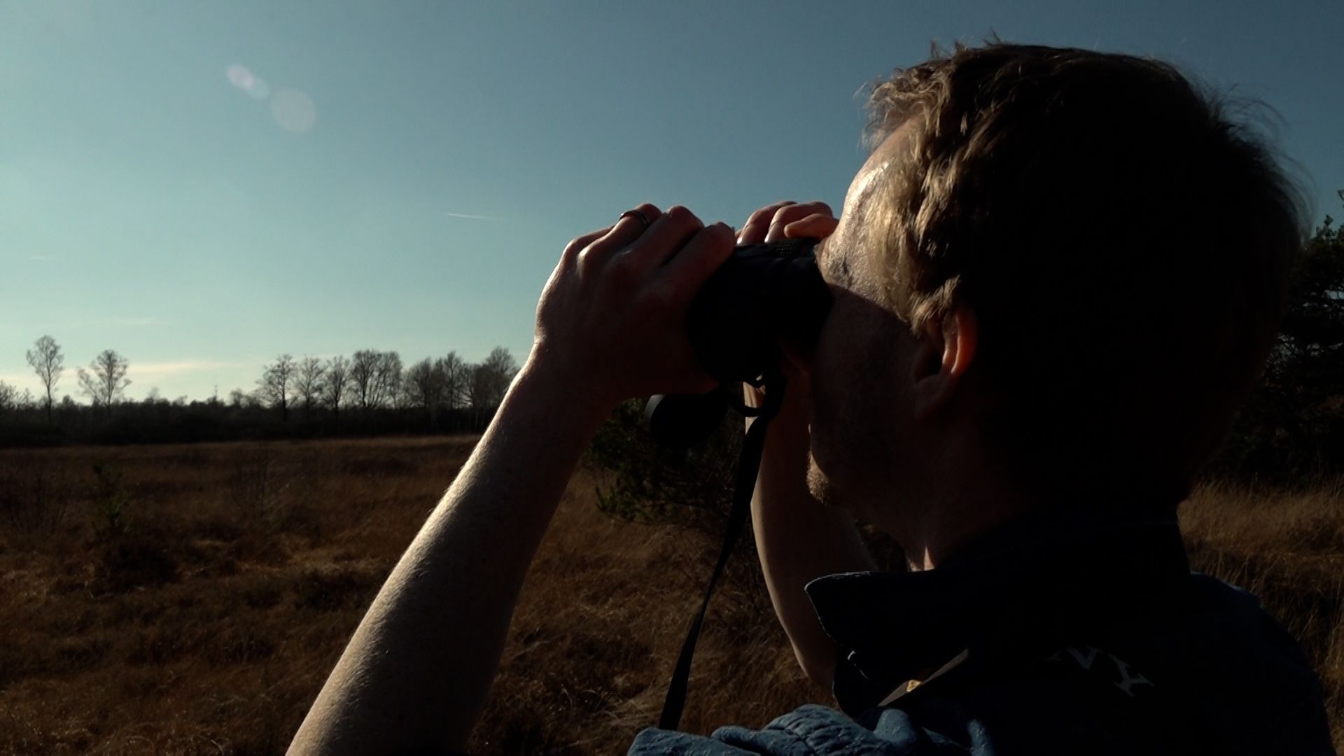 Dit is hét moment om kraanvogels te spotten.