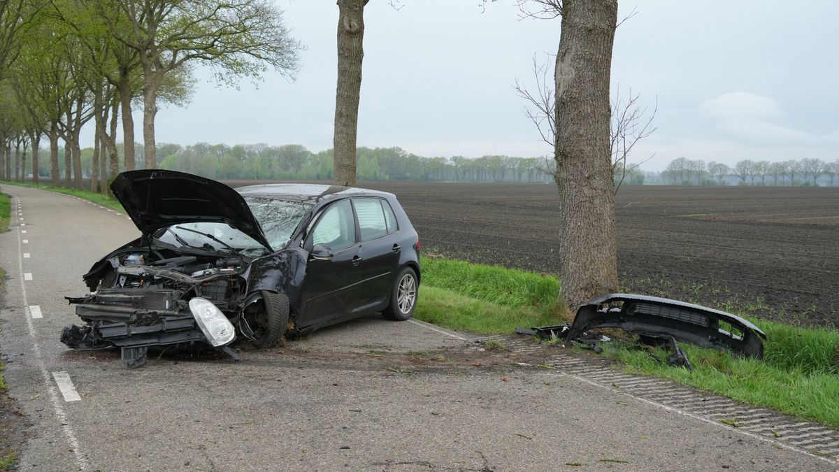 Auto flink beschadigd na botsing op boom bij Hijken