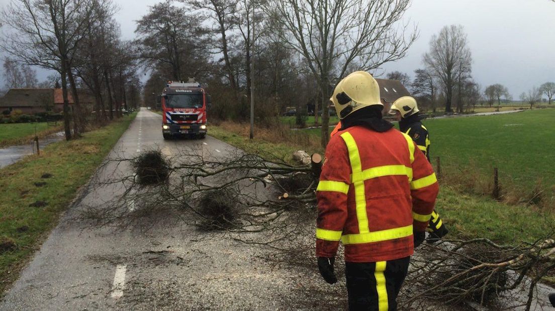 Boom blokkeert de Beulakerweg in Giethoorn