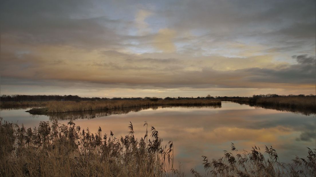 De waterbassins zijn overgenomen door de natuur, waar nu ook de otter en de das leven