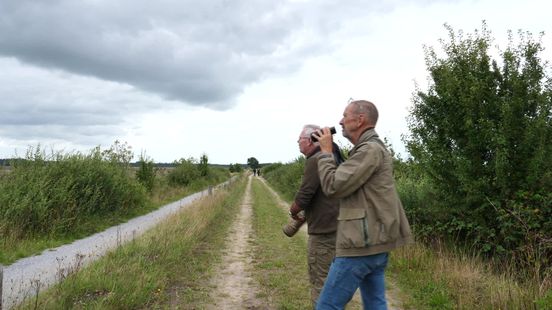 Neem je verrekijker mee en kijk omhoog: 'Het is een spectaculair fenomeen op het Dwingelderveld'