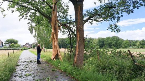 Bomen in stukken na blikseminslag, moeten gekapt worden