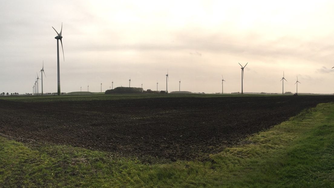 Het bestaande windpark bij Delfzijl Zuid
