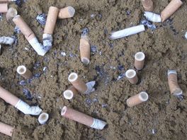 'Het is een tapijt van peuken': Stichting de Noordzee blij met rookverbod op het strand