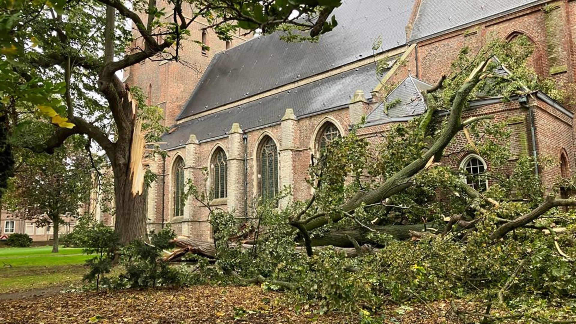 LEES TERUG: Zo Raasde Storm Ciarán Over Zeeland - Omroep Zeeland