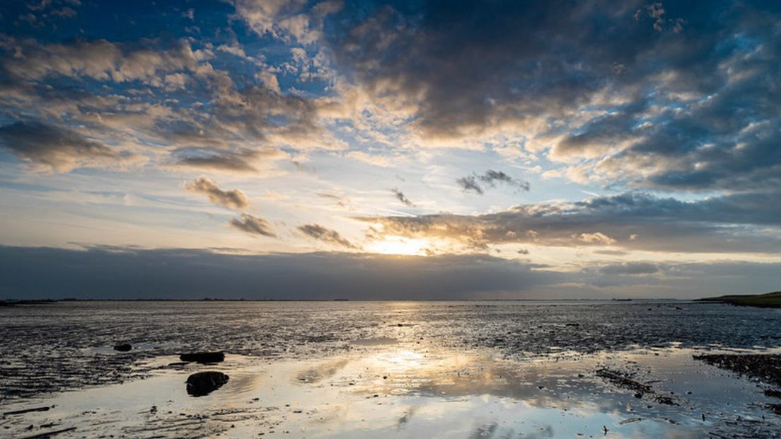 Westerschelde Waarde