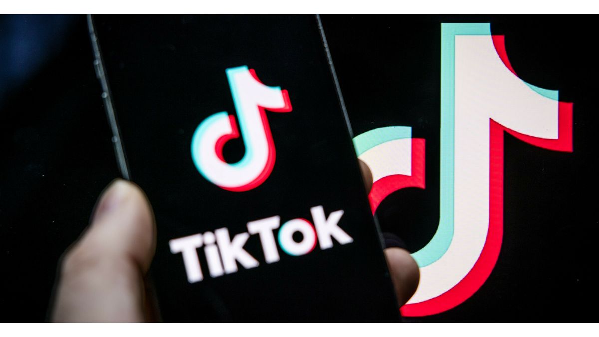 Tholenaar (19) aangehouden in groot onderzoek naar aanzetten tot terreur op TikTok