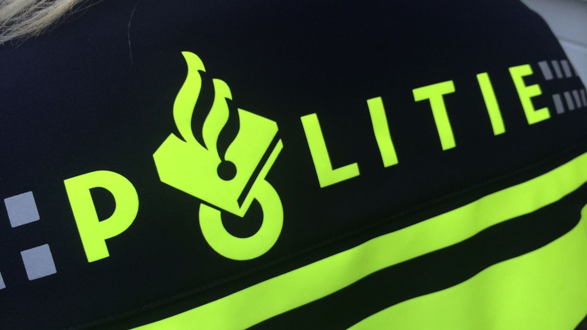 Politie controleert onopvallend in wijken Bargeres en Rietlanden