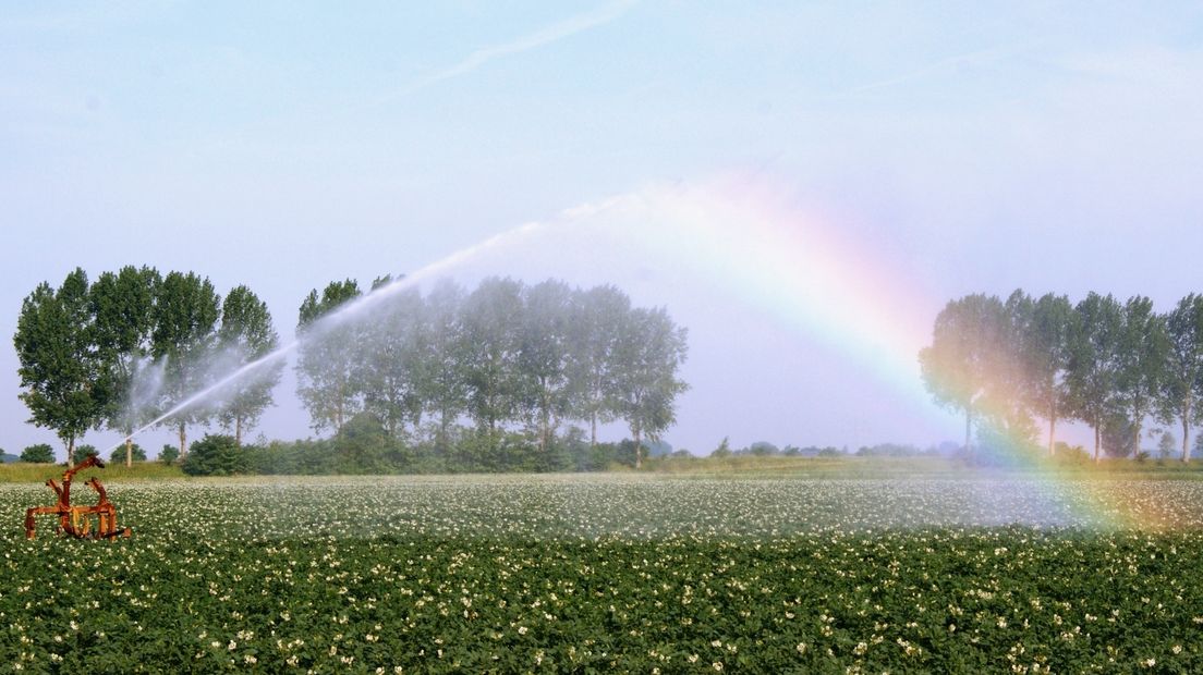 Regenboog bij beregenen aardappelveld bij 's-Heerenhoek vanwege aanhoudende droogte