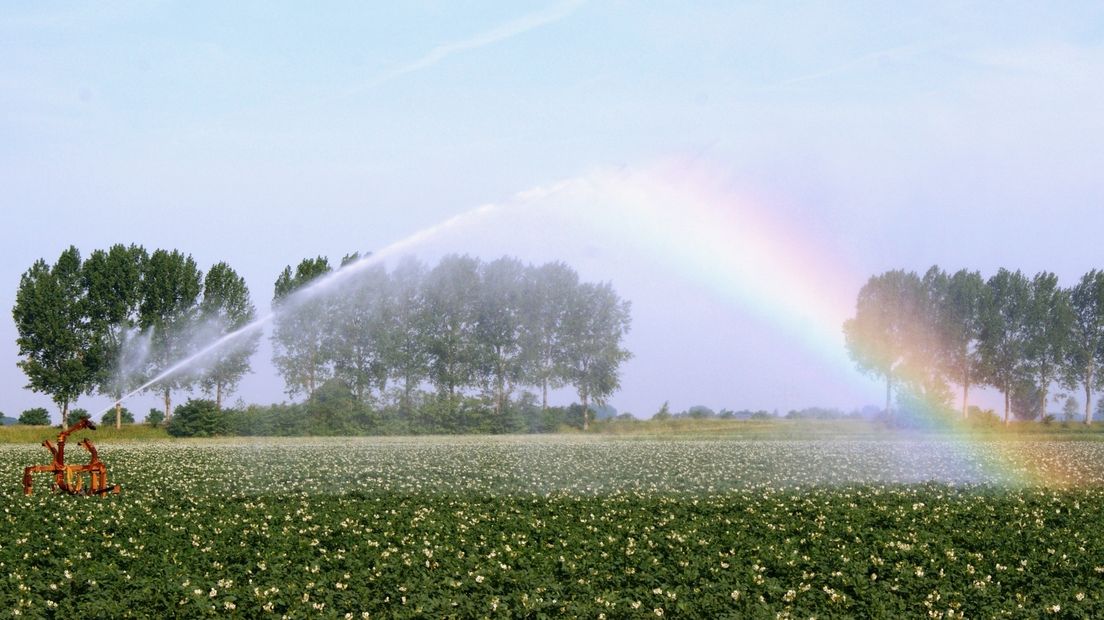 Het droogterecord van 42 jaar geleden lijkt te sneuvelen