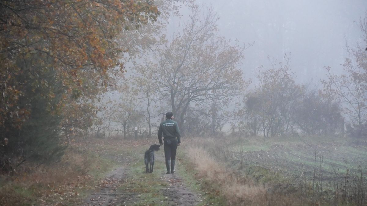 Limburg Kiekt: Well, Nederweert-Eind, Colmont en...