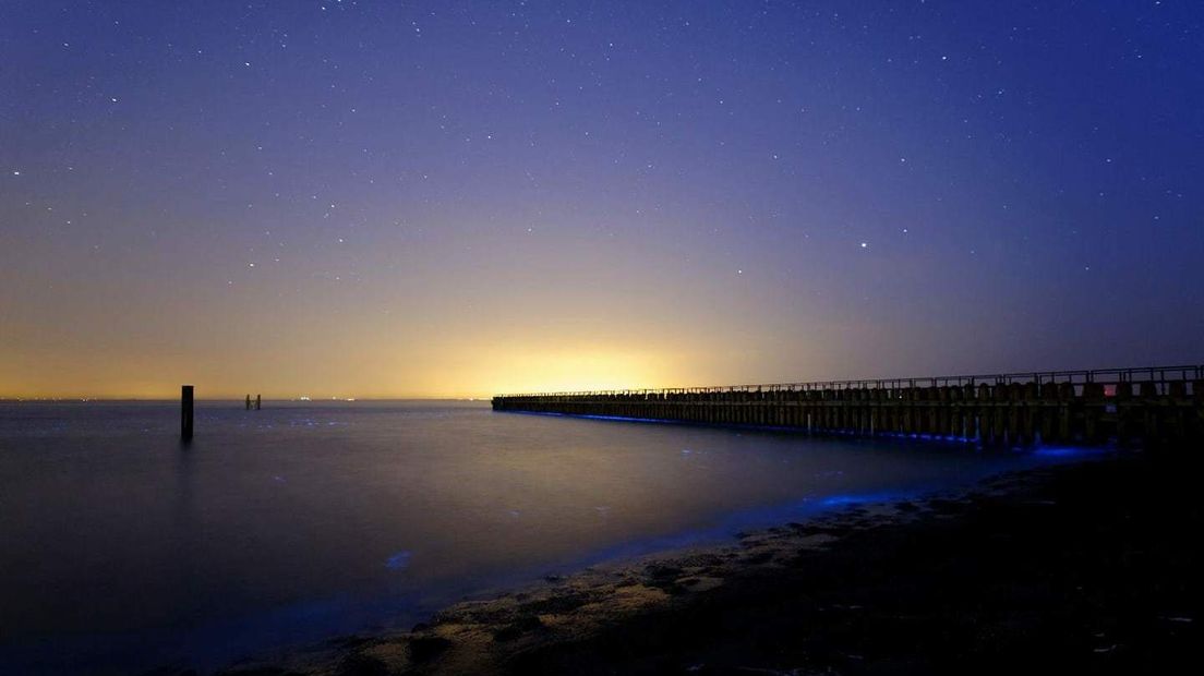 Zeevonk, warme kassen en onweer, dit was de hittegolf in Zeeland