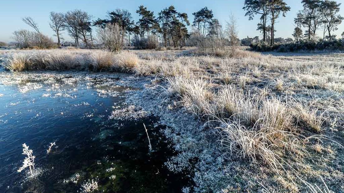 Terwijl inmiddels de eerste sneeuw van 2017 is gevallen en ik om mij heen kijk naar een betoverende witte wereld denk ik weer terug aan de twee magische momenten die ik eind 2016 heb ervaren op de Empese en Tondense heide.