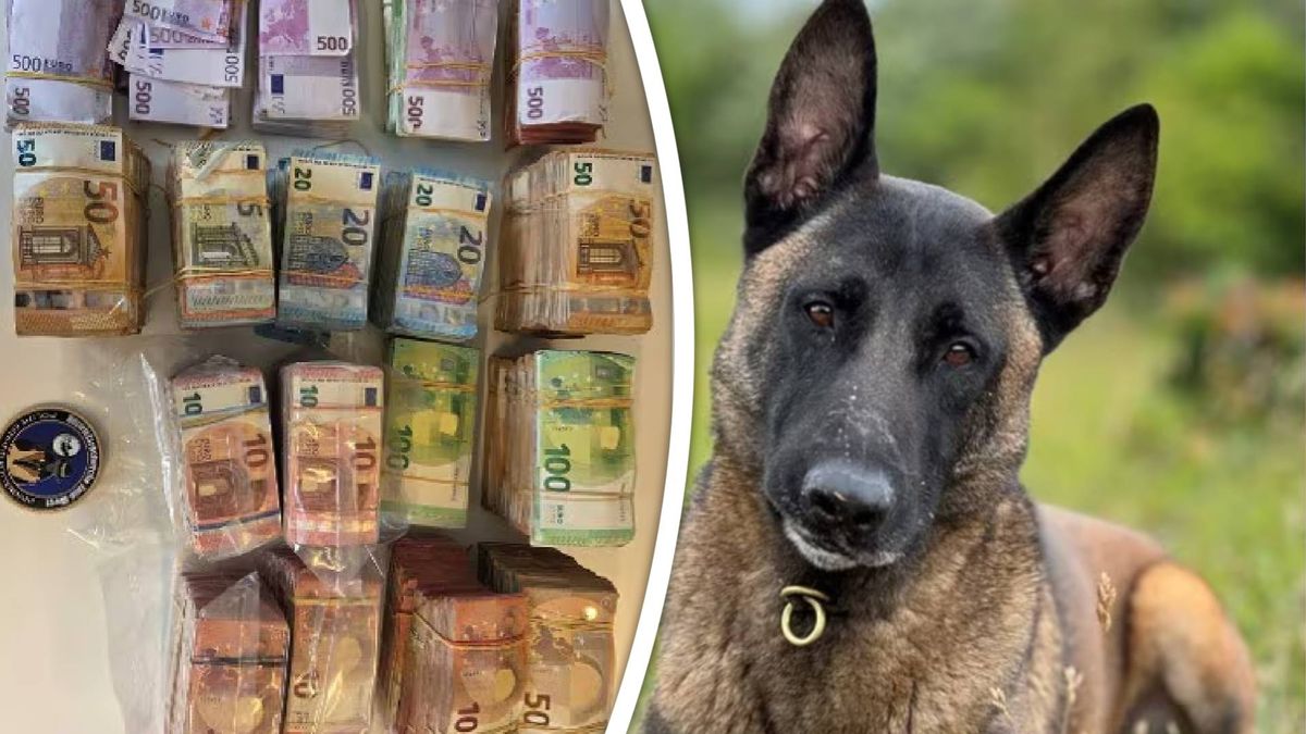 Speurhond vindt tas met 700.000 euro, Barendrechter (43) opgepakt voor witwassen