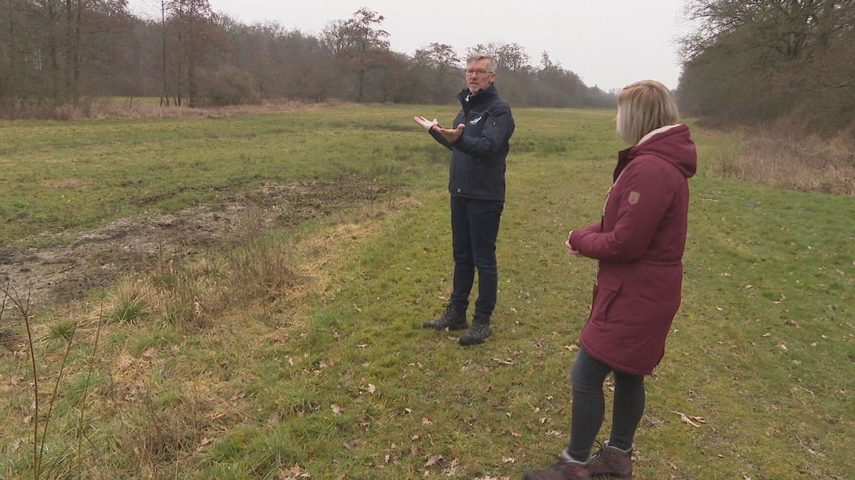 'We hebben de natuur hoog in het vaandel' - RTV Drenthe