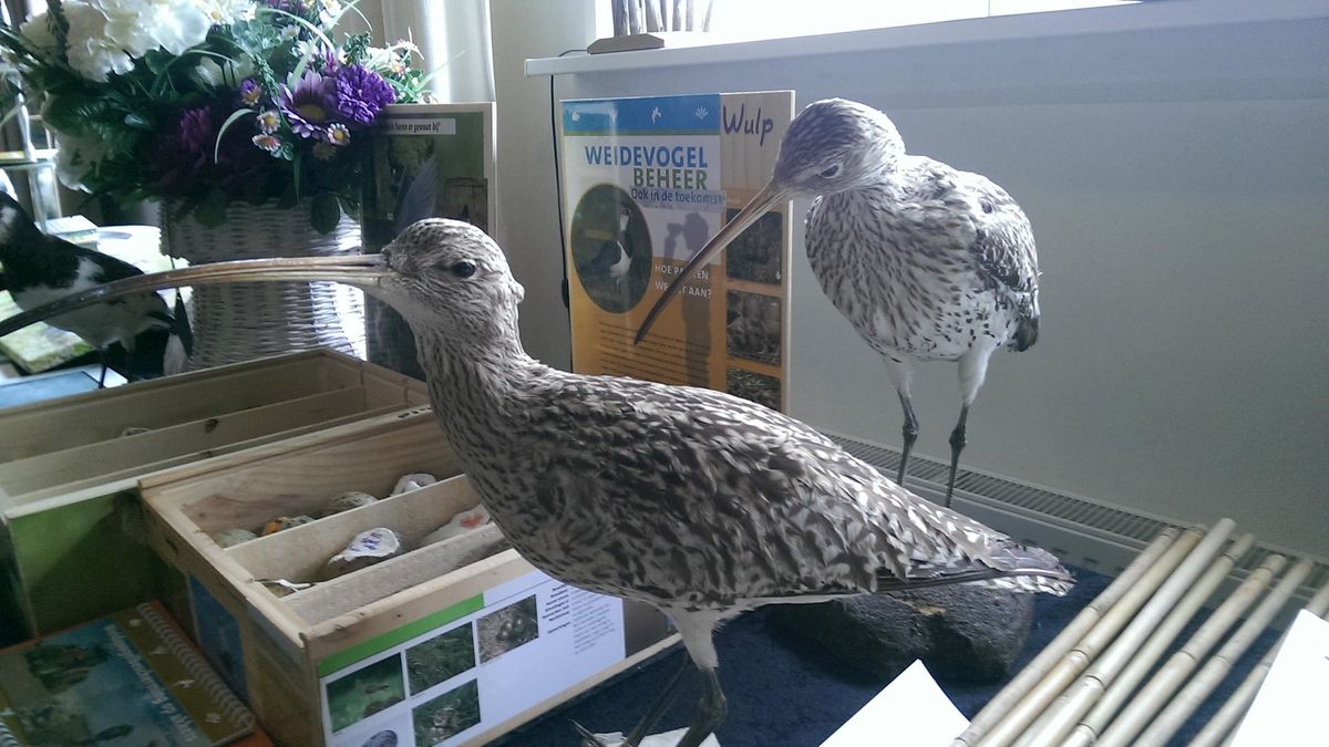 Natuurboer uit Lierderholthuis genomineerd voor de Gouden Grutto