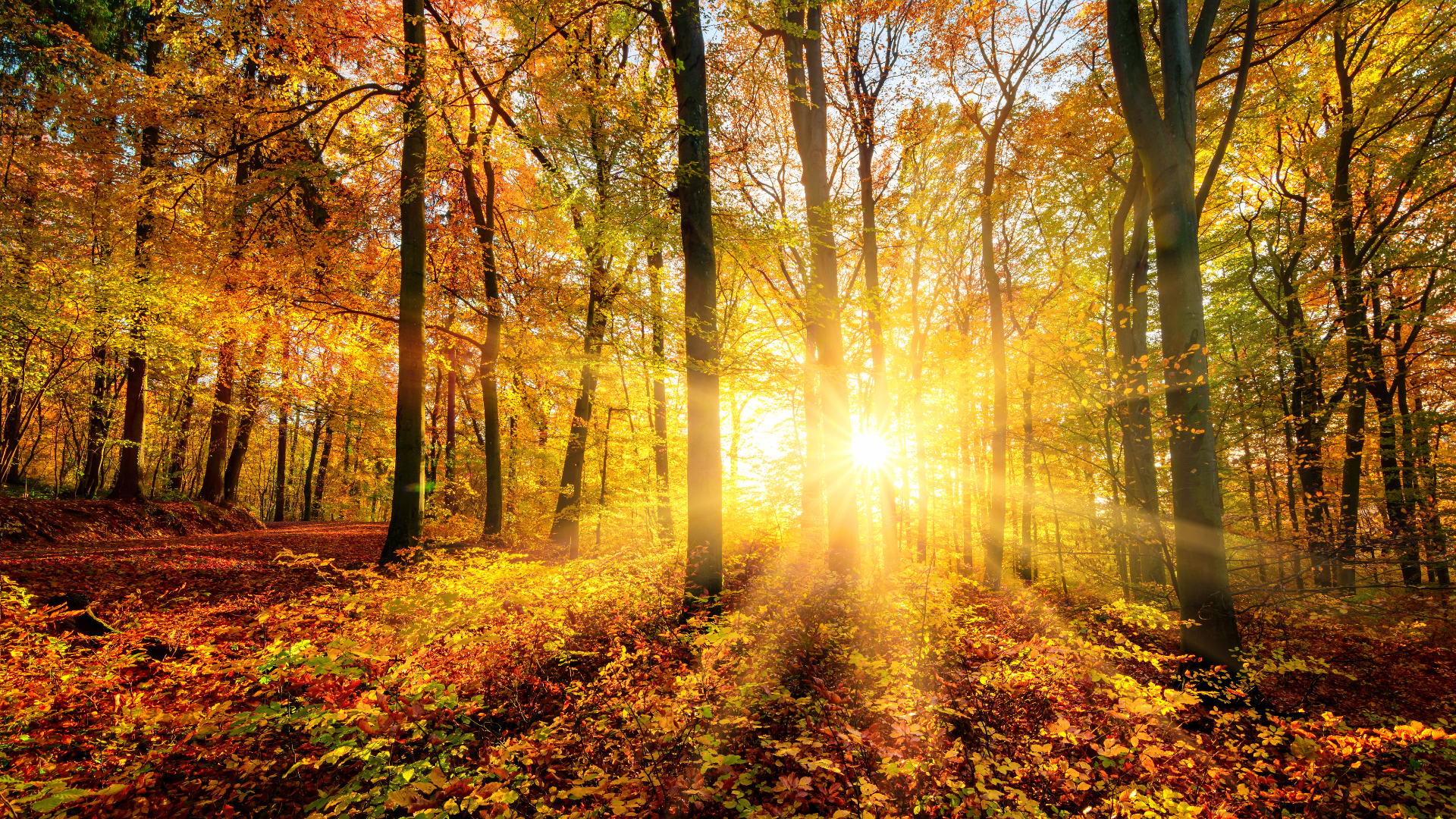 Rustig en aangenaam, van echt herfstweer nog geen sprake.