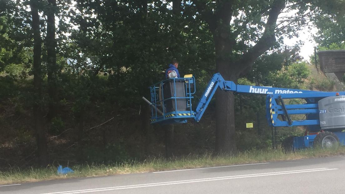 Eikenprocessierupsbestrijding in Achterberg, zaterdagmiddag 6-7-2019.