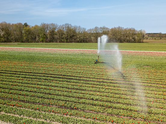 Waarom mag beregenen in Drenthe nog wel, terwijl het zuiden op slot gaat?