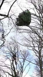 Parachutist zit vast in boom