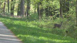 Marks minuutje vanuit het Hart van Drenthe