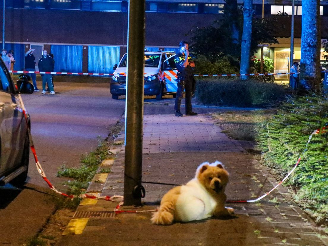 Het hondje Esco bleef na het doodschieten van zijn baasje alleen achter op straat.