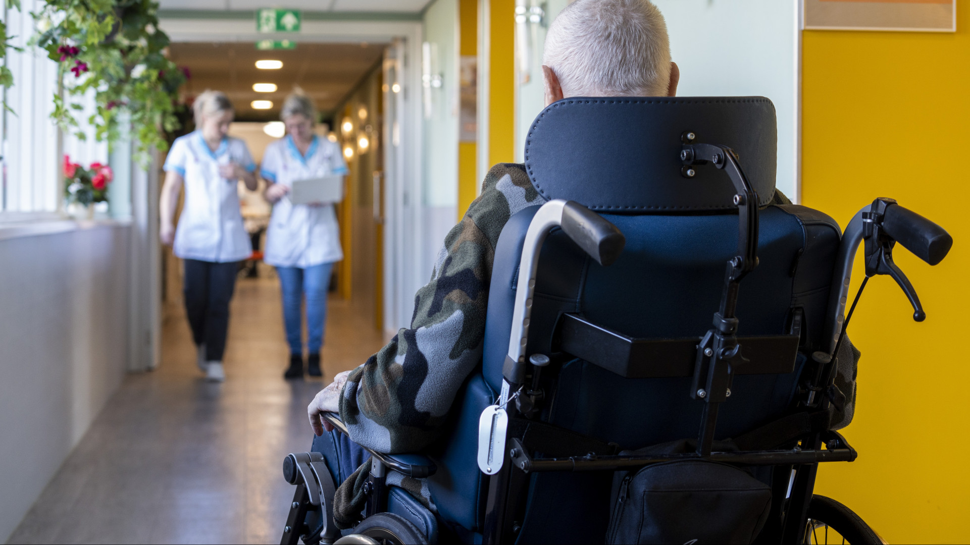 Foto ter illustratie