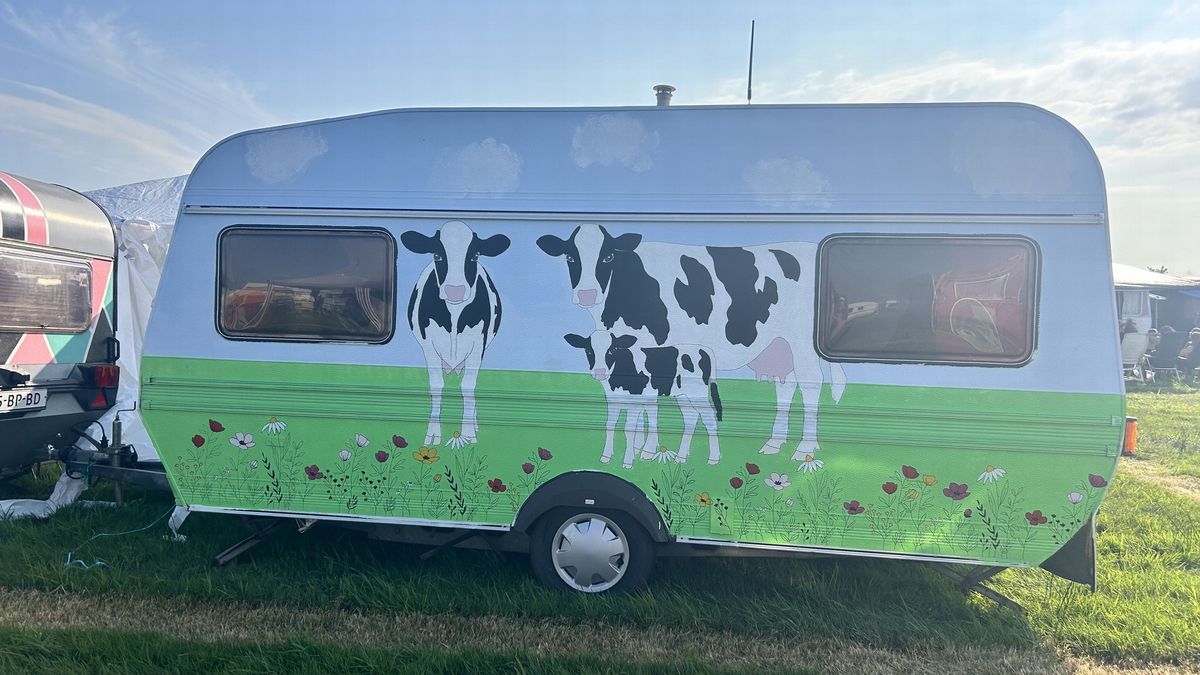 Koeien, bier en de Friese vlag: opvallende caravans op De Veenhoop