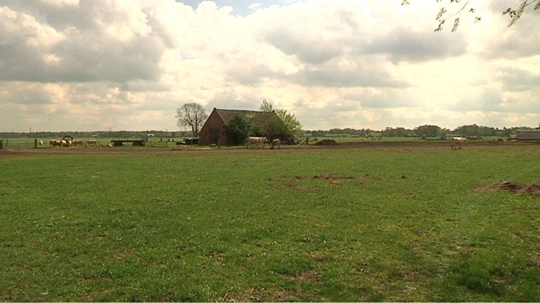 De boer mag niet bouwen op zijn grond aan de zuidkant van de Peter van den Breemerweg.