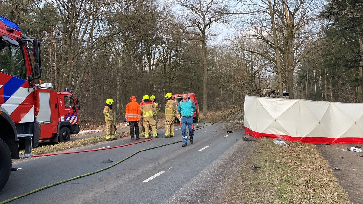 Chauffeur personenbusje komt om bij eenzijdig ongeval