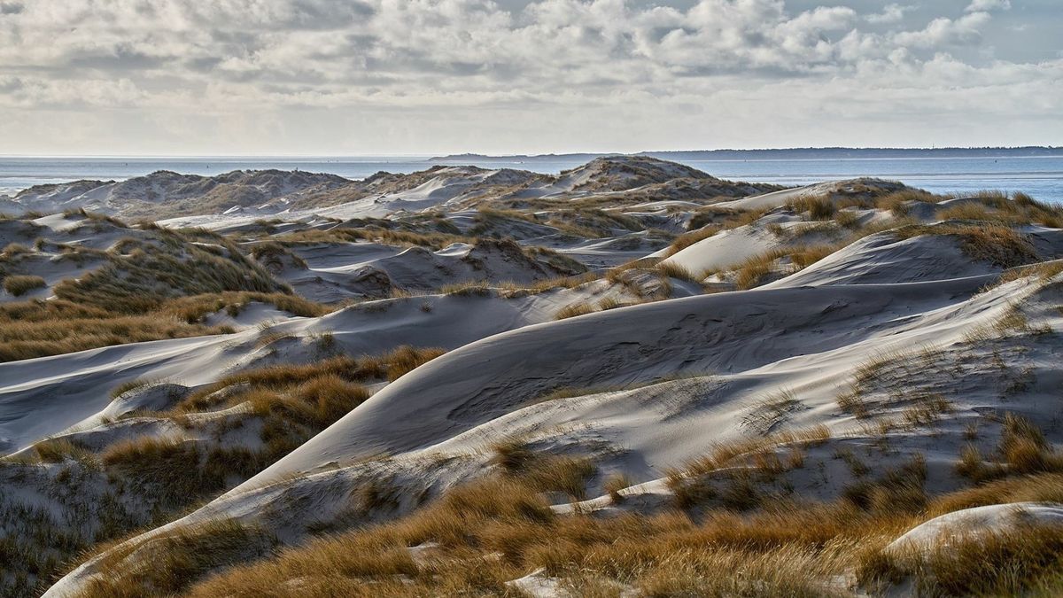 Verruiging duinen Terschelling wordt aangepakt