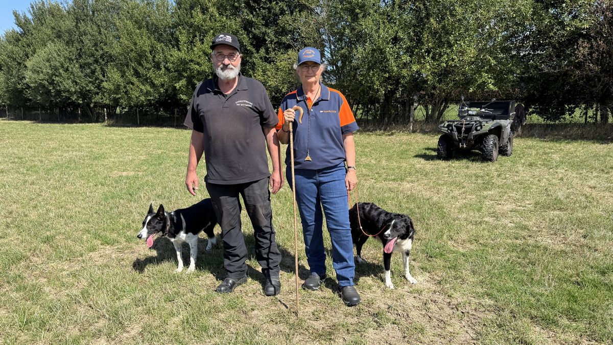 Asser paar op EK en WK Schapendrijven: 'Ron is een luie handler met luie hond, maar hij de Master!'