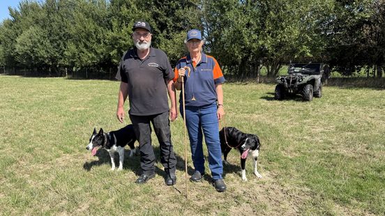 Asser paar op EK en WK Schapendrijven: 'Ron is een luie handler met luie hond, maar hij is de Master!' Nieuws