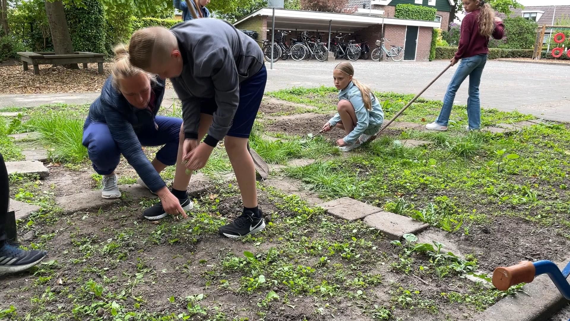 Bern oan it wurk yn de skoaltún