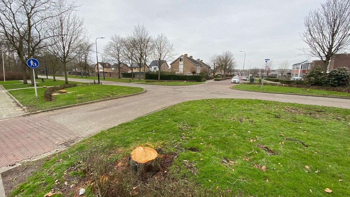 Nieuwe rotonde Hansweert nog voor de bouw al overbodig