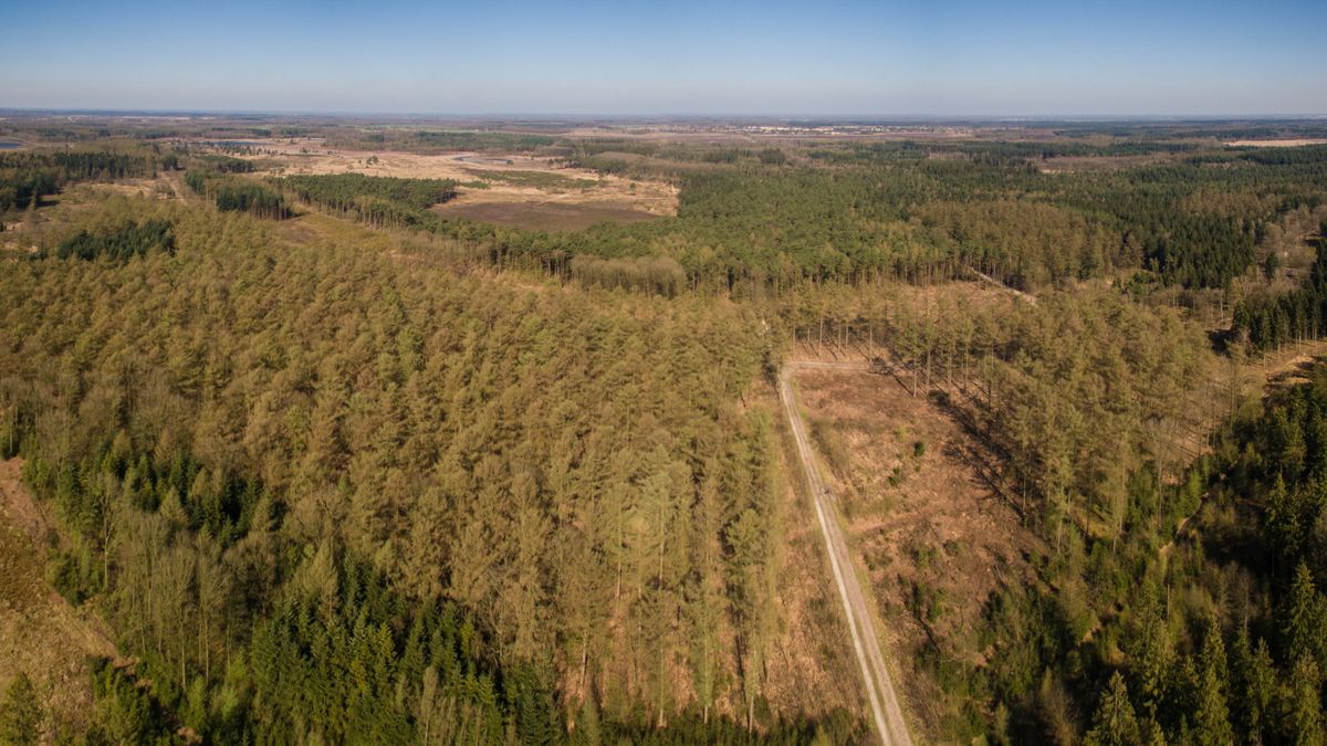 Fietspad Drents-Friese Wold overstroomd door maatregelen die droogte in natuur moeten voorkomen