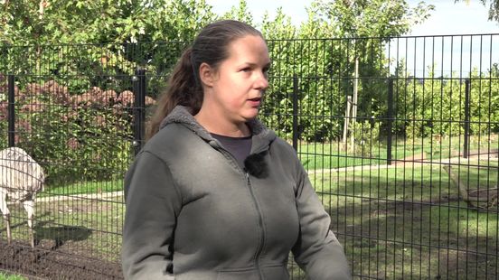 Nandoe Betsy meegenomen uit dierenverblijf in Emmer-Compascuum