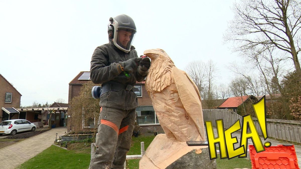 HEA! De raaf van Ravenswoud