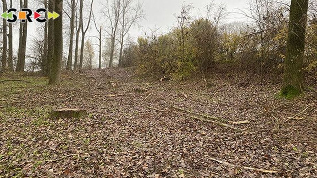 Zorgen om het uiterwaardengebied van de Nederrijn in de gemeente Buren