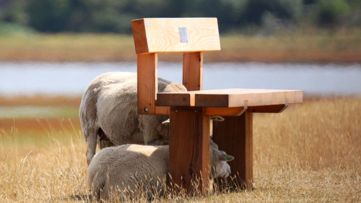 Hoe warm wordt het vandaag in Zeeland? - Omroep Zeeland