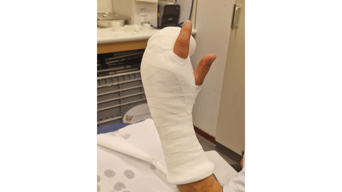Vrijwilligers van Kat in Nood aangevallen in Ureterp: 