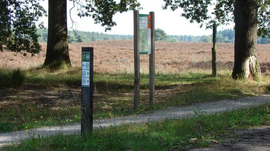 Staatsbosbeheer dreigt recreatiegebied Zwarte Dennen te sluiten Nieuws