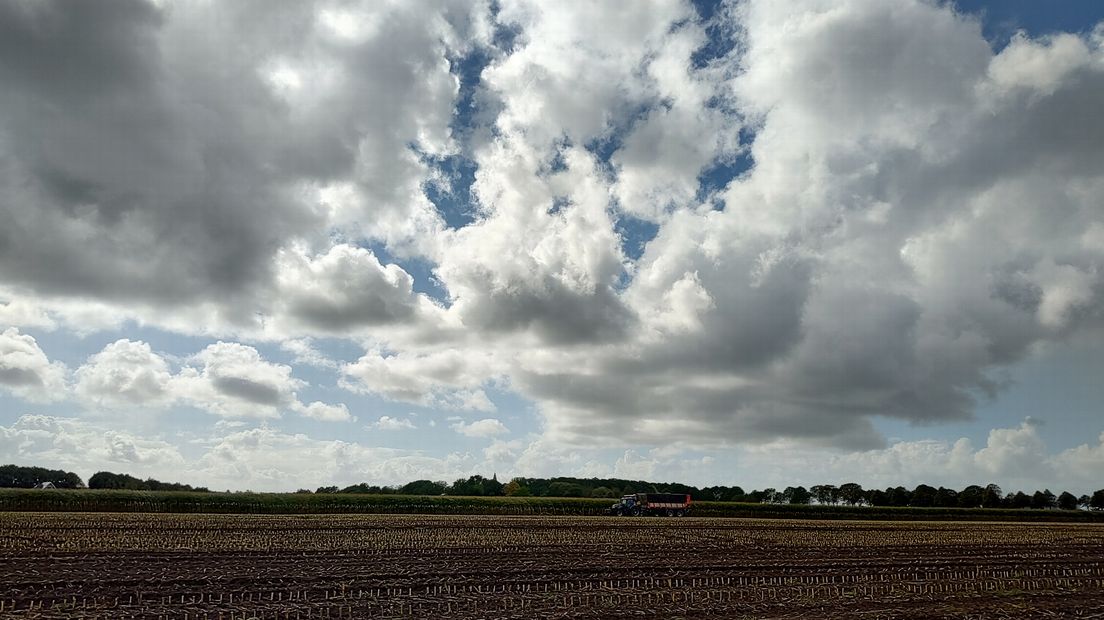 Mais van het land in weer en wind