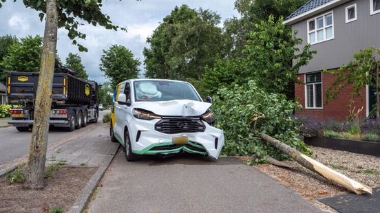 Busje rijdt boom uit de grond in Tjerkgaast Nieuws