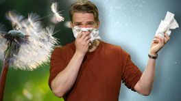 Zó kom je van je hooikoorts af