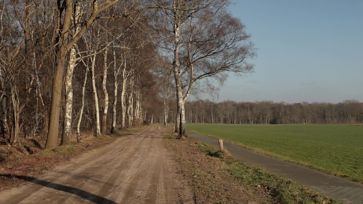 Vergunning en wapen ingenomen van jager die hond in Wapse doodschoot: 'Als je niet weet wat je ziet,