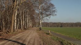 Vergunning en wapen ingenomen van jager die hond in Wapse doodschoot: 'Als je niet weet wat je ziet, dan schiet je niet'