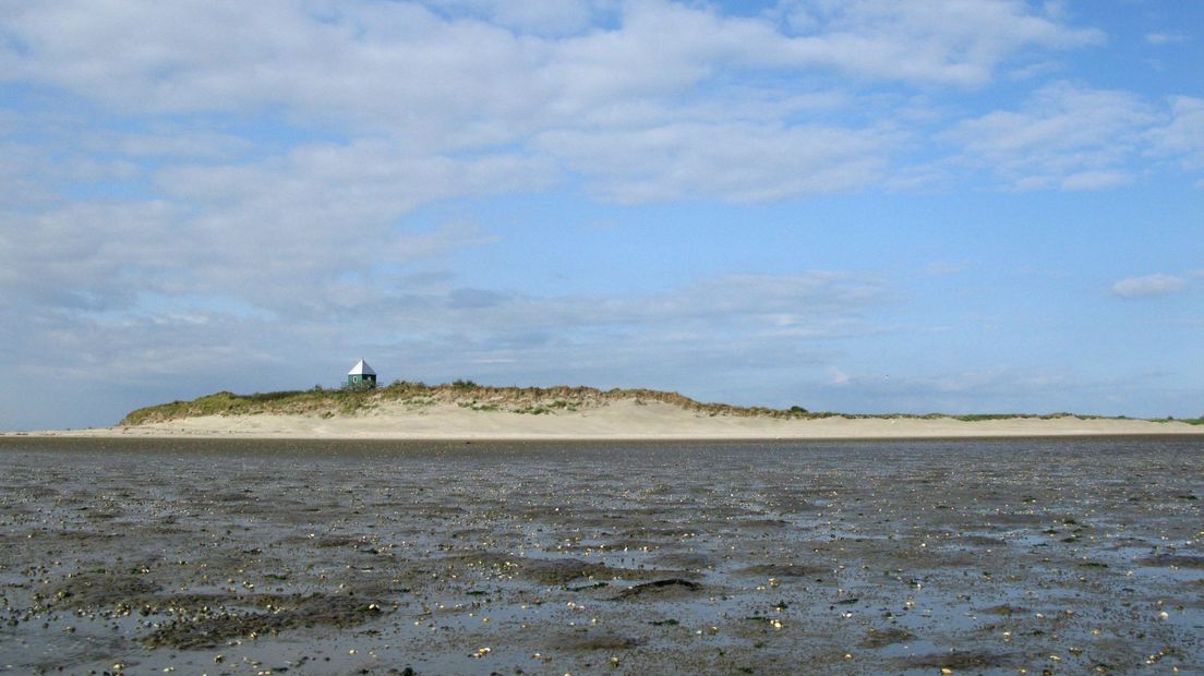 Rotummerplaat